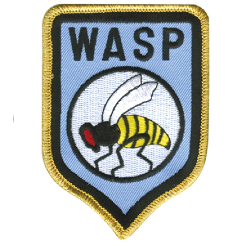 WASP Patch | W.A.S.P. Blade American Heavy Glam Metal Shock Rock - Foto 6