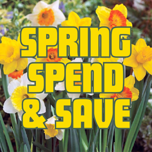 Spring Spend & Save – extended for May